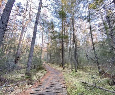 Franklin Lake Campground