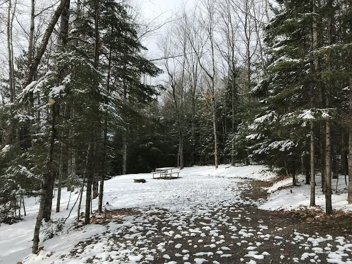 Franklin Lake Campground Picture 10