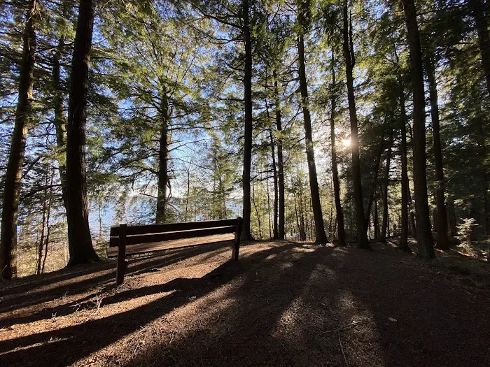 Franklin Lake Campground Picture 5