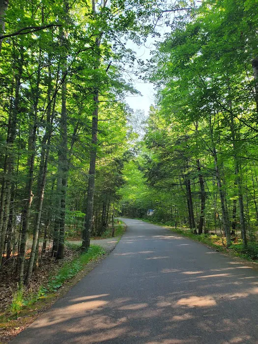 Franklin Lake Campground Picture 9