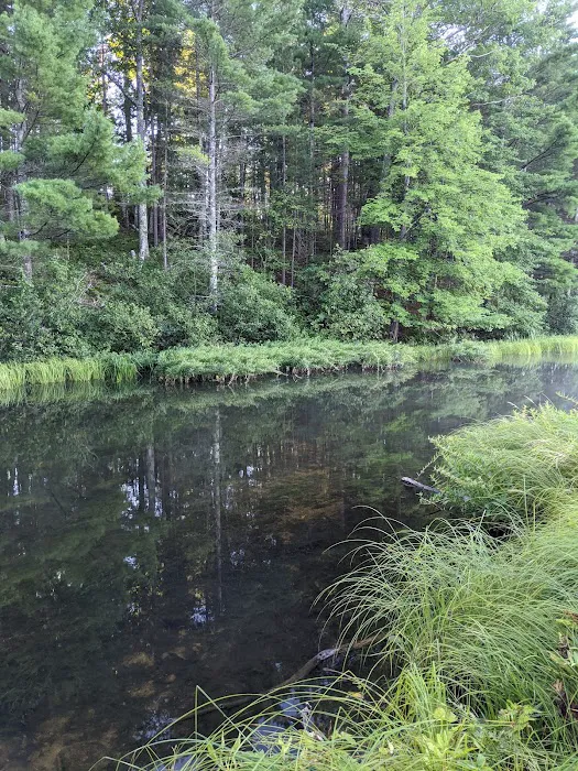 Plum Lake Campground, Northern Highland American Legion State Forest Picture 6