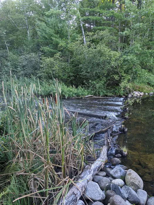 Plum Lake Campground, Northern Highland American Legion State Forest Picture 7