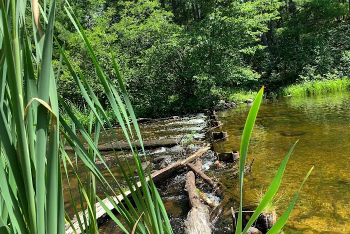 Plum Lake Campground, Northern Highland American Legion State Forest Picture 9