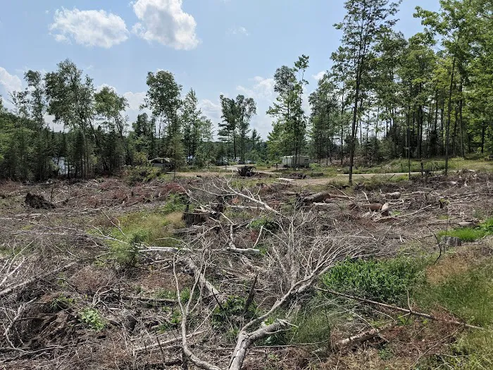 East Star Lake Campground Picture 1