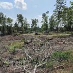 East Star Lake Campground