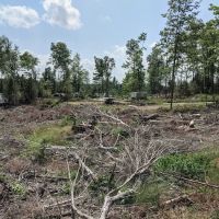 East Star Lake Campground ico