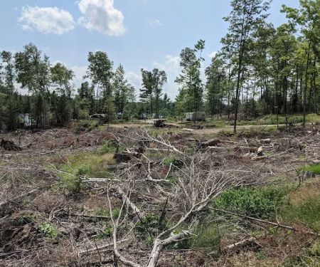 East Star Lake Campground