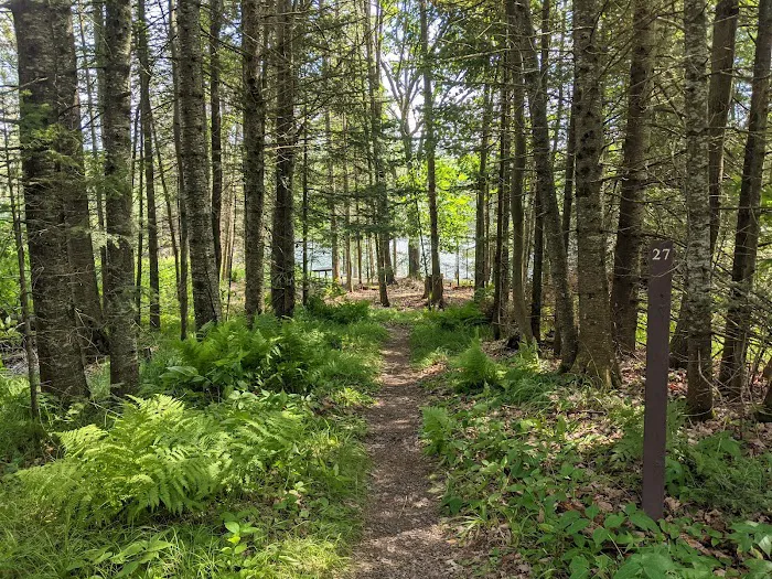 East Star Lake Campground Picture 4