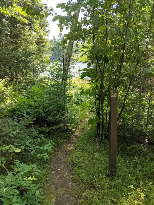 East Star Lake Campground Picture 8