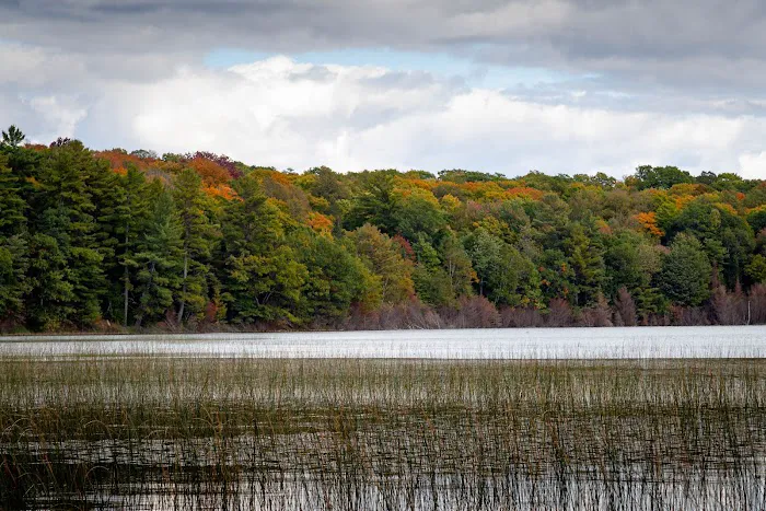 West Star Lake Campground Picture 7
