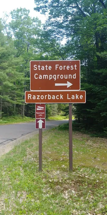 Razorback Lake Campground Picture 5