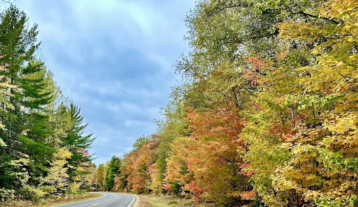 Razorback Lake Campground Picture 4