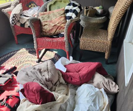 Rustic Cabin Steps From The Water On Star Lake Bear Cottage