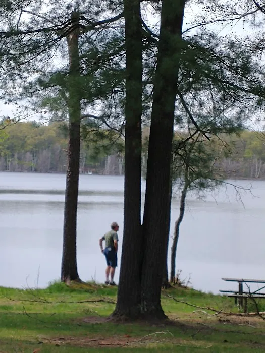 Torch Lake Campground & RV Park Picture 5