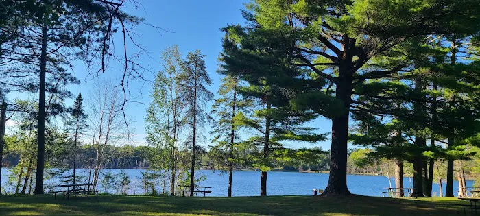 Torch Lake Campground & RV Park Picture 4