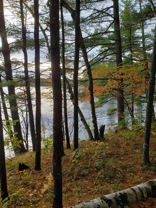 Musky Lake Campground Picture 7