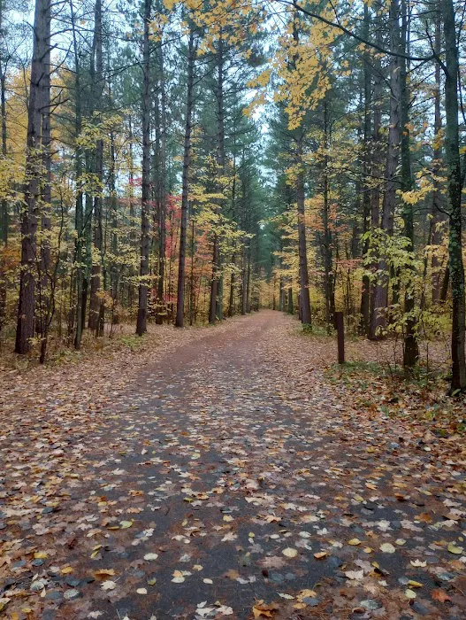 Musky Lake Campground Picture 9