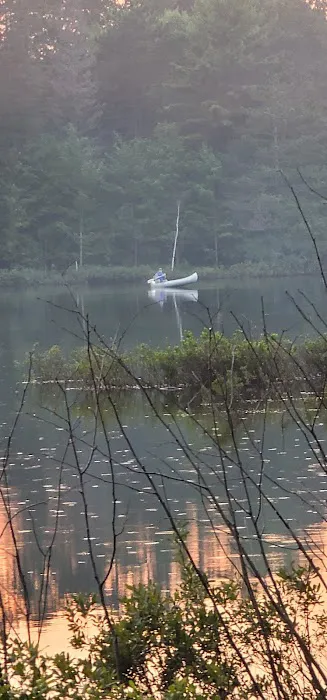 Starrett Lake Campground Picture 8