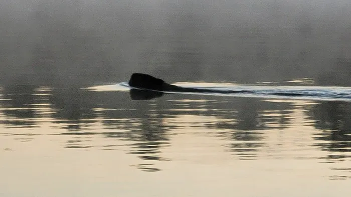 Starrett Lake Campground Picture 7