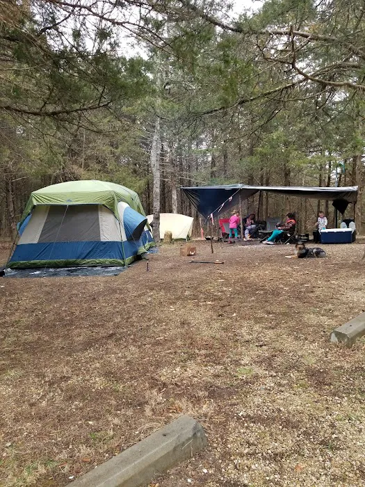 Dry Fork Recreation Area Picture 9