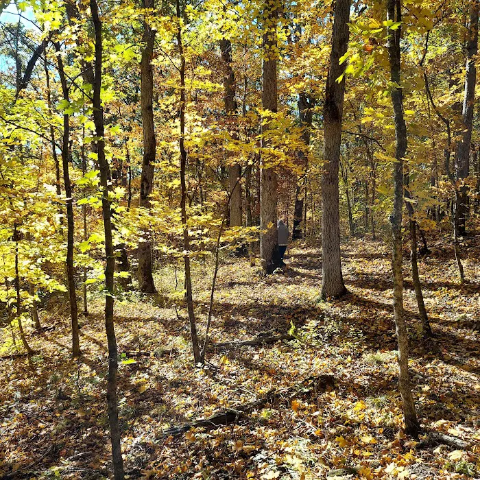 Dry Fork Recreation Area Picture 5
