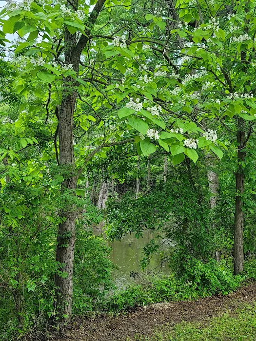 Osage Campground Retreat Picture 6
