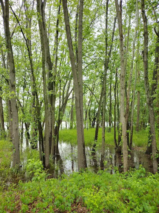 Pikes Camp Access Picture 7