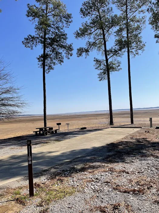 North Abutment Campground Picture 3