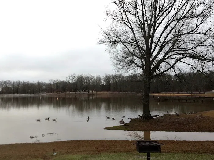 North Abutment Campground Picture 4