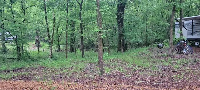 Forestry Department Picture 8