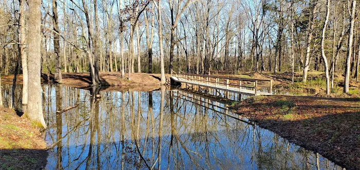 Forestry Department Picture 7