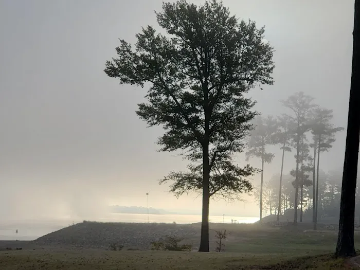 South Abutment Campground Picture 2