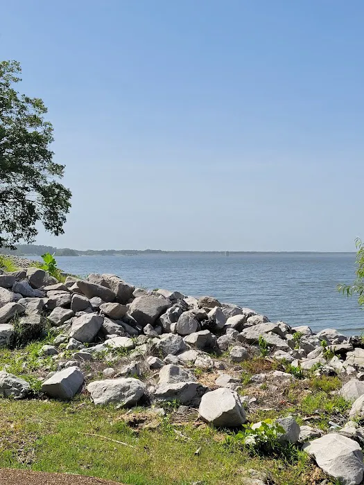 Hernando Point Campground Picture 6