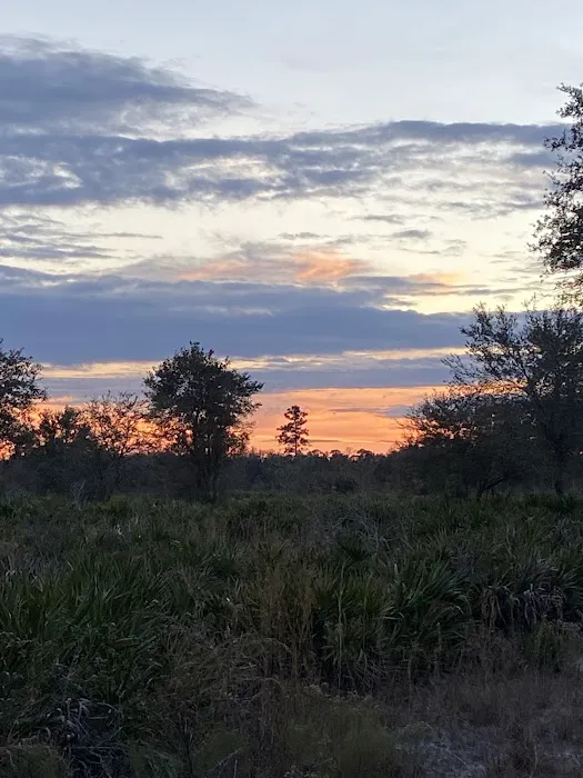 Camp Cachimba Picture 3