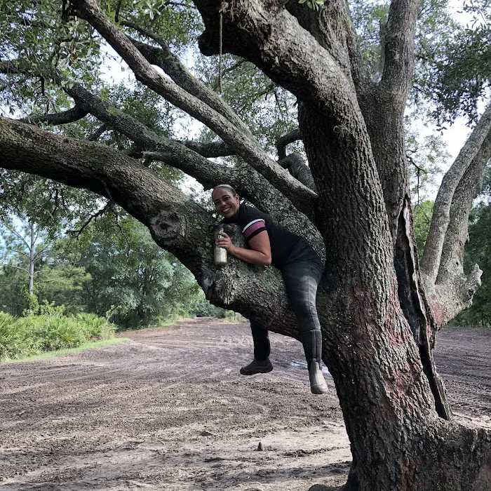 Camp Cachimba Picture 6