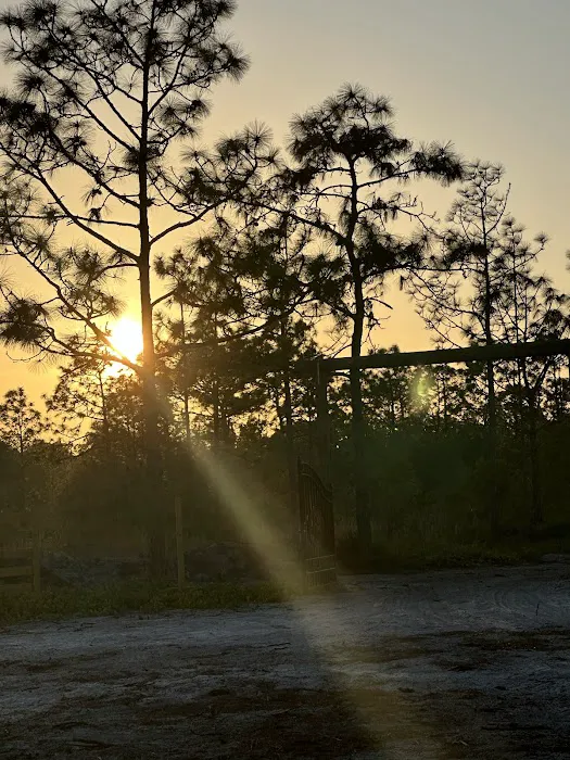 RIVERA RANCH Picture 1