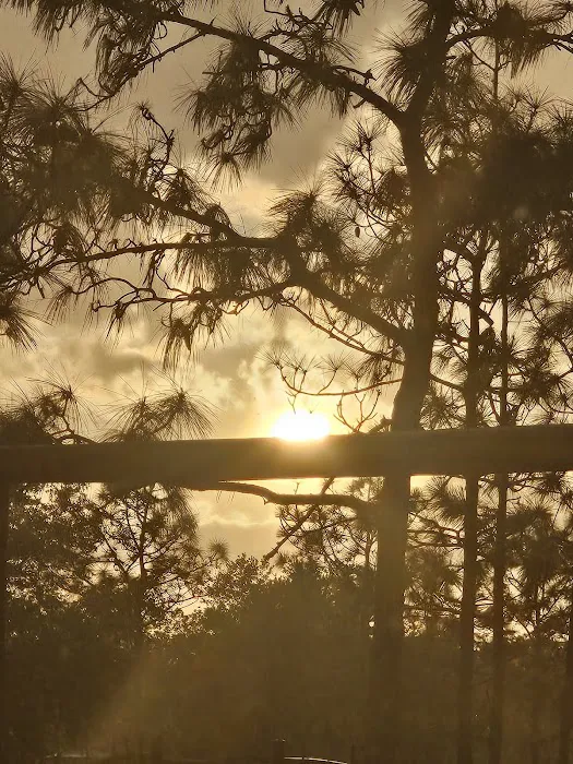 RIVERA RANCH Picture 2