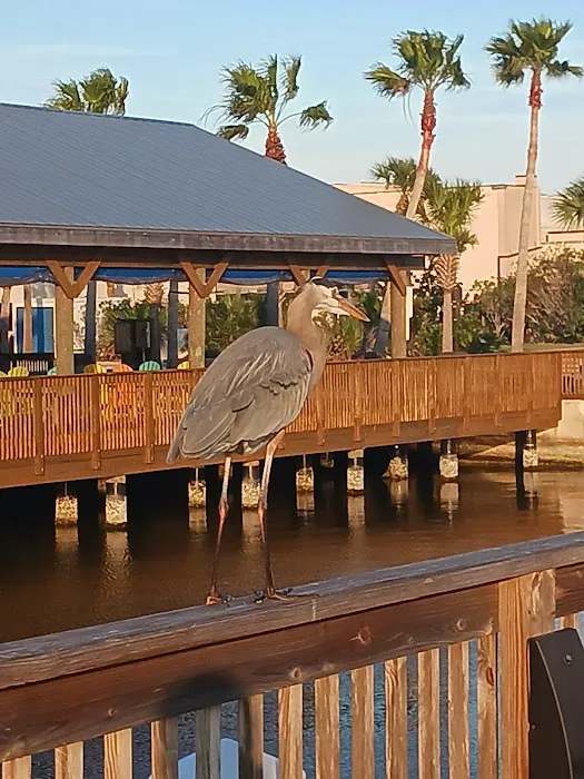 Patrick SFB Manatee Cove Campground Picture 2