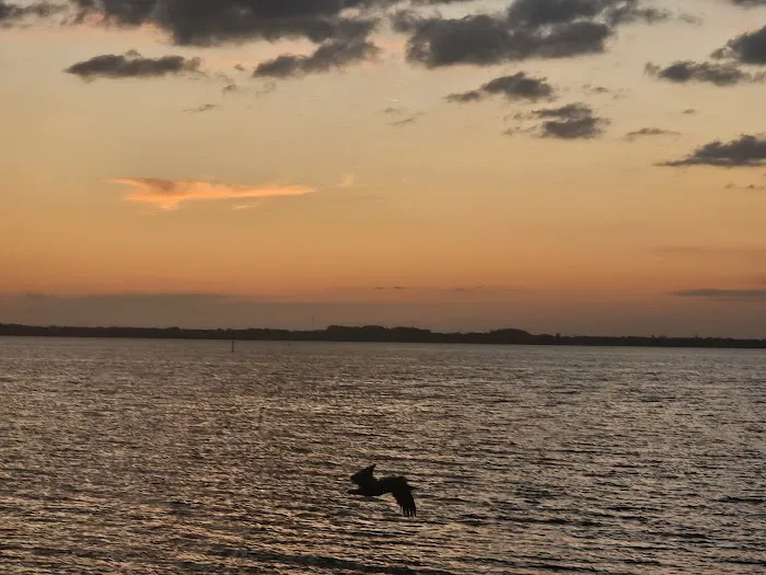 Patrick SFB Manatee Cove Campground Picture 5
