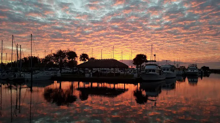 Patrick SFB Manatee Cove Campground Picture 6