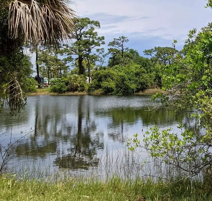 Wickham Park Campground Picture 6