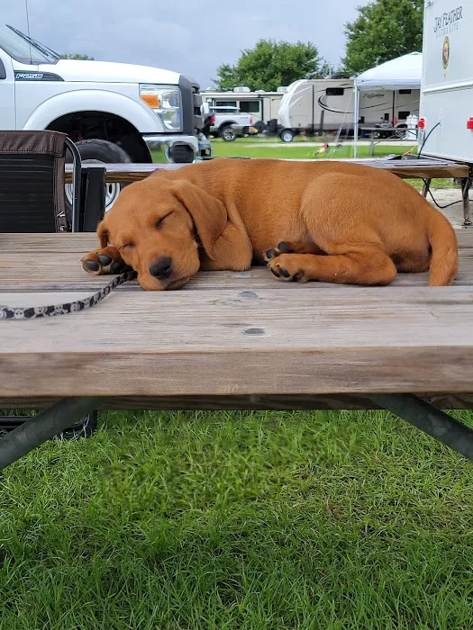 Wickham Park Campground Picture 9