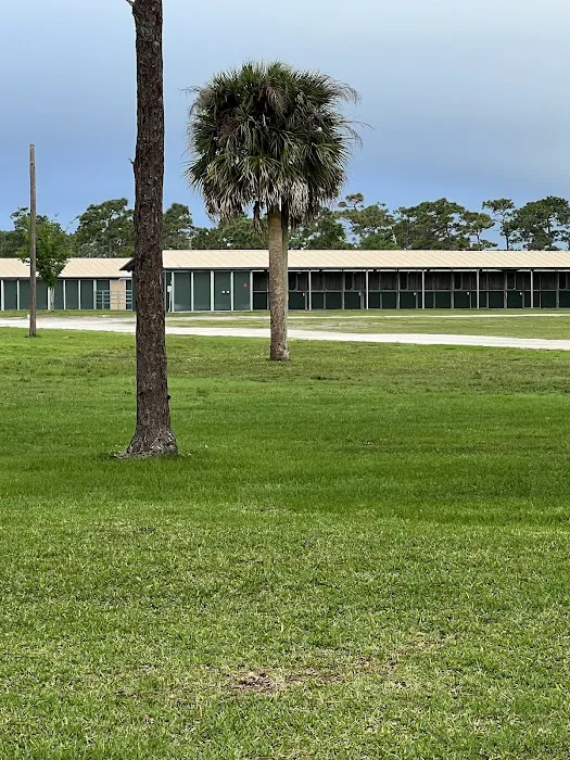 Wickham Park Campground Picture 2