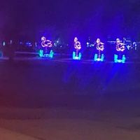 Wickham Park Ranger Office ico