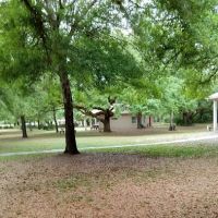 Central Florida Youth and Family Recreation Camp ico