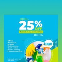 Lugo profesional cleaning services ico