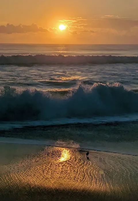 Melbourne Beach Mobile Park Picture 4