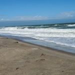 Melbourne Beach Mobile Park