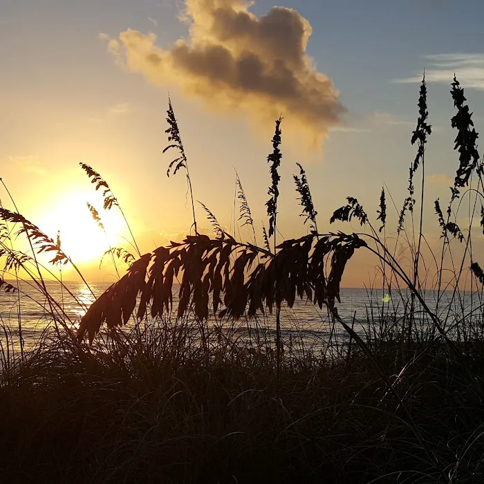 Melbourne Beach Mobile Park Picture 9