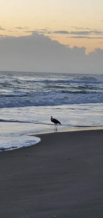 Melbourne Beach Mobile Park Picture 2